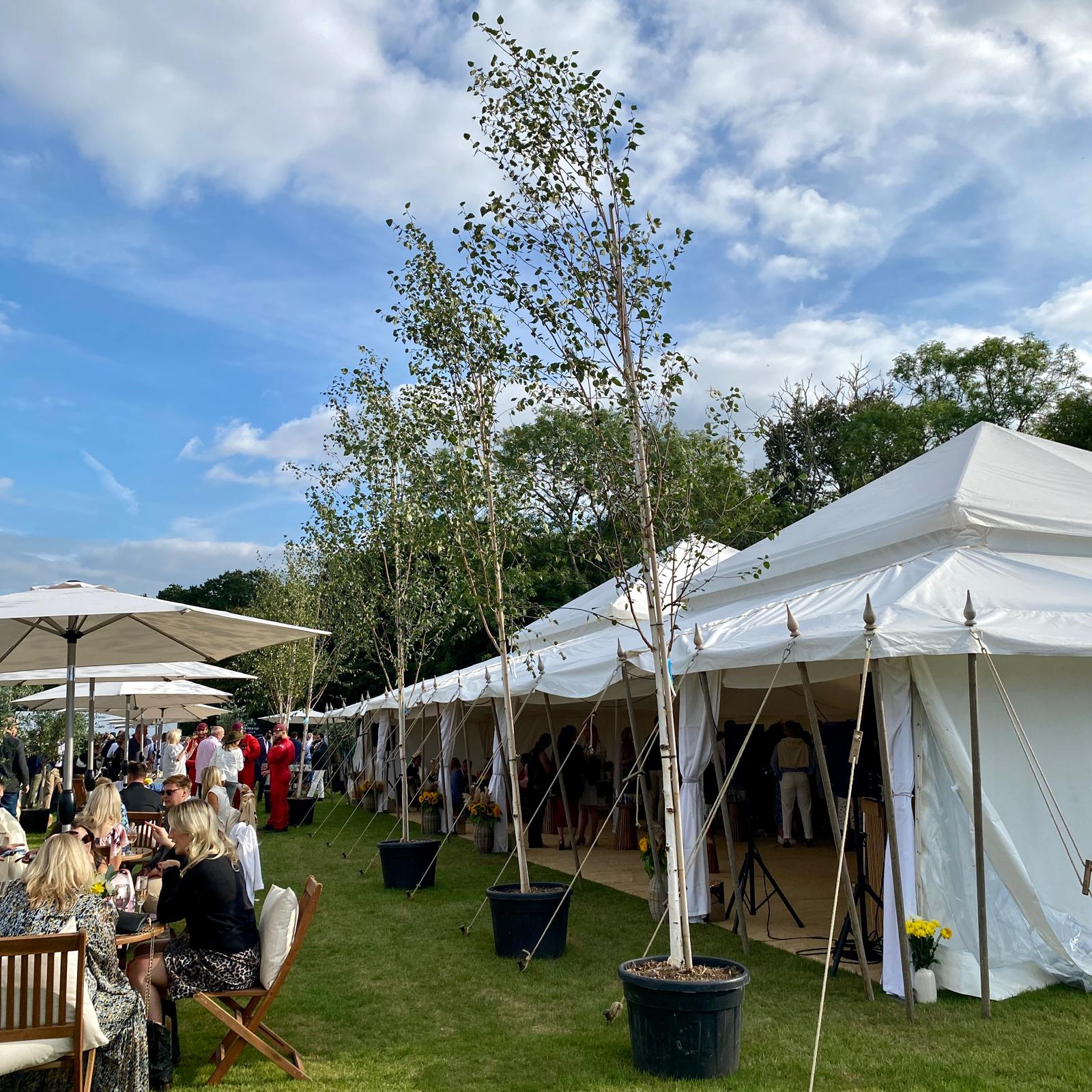 Best Marquee Hire Plants For Event Management